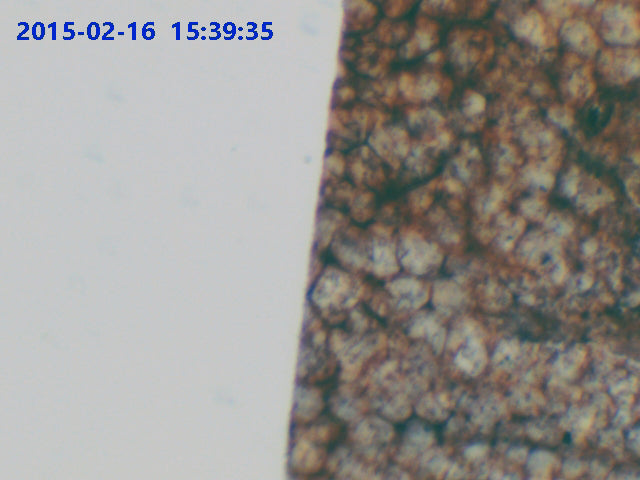 LaboQuip C-Mount Adapter for Olympus Microscopes 0.5X