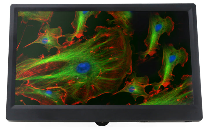 LaboQuip XCAM1080PHD, HDMI Digital Camera for Microscope CMOS, HDMI+ WiFi+ SD, Advanced& Professional with SONY Sensor + HDMI Displayer for XCAM Series Camera with Panasonic IPS LCD