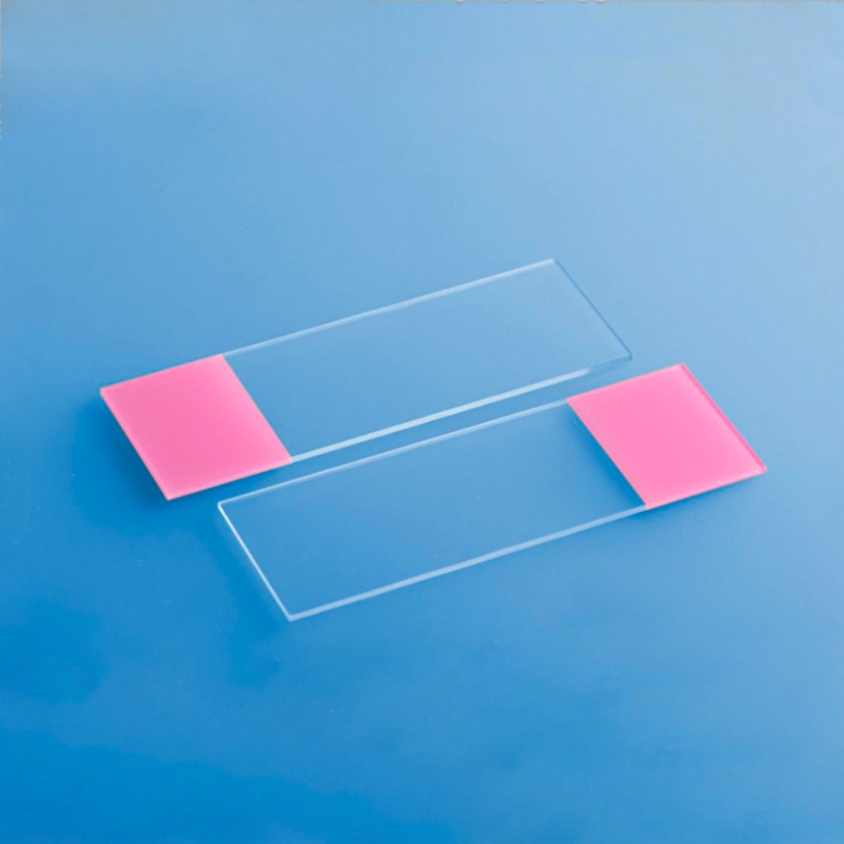 LaboQuip Microscope Slides, Colour Frosted Slide 1 side frosted 7109A-P,Pink Colour, Glass (Pack of 50Pcs)