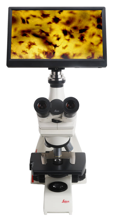 LaboQuip XCAM1080PHD, HDMI Digital Camera for Microscope CMOS, HDMI+ WiFi+ SD, Advanced& Professional with SONY Sensor + HDMI Displayer for XCAM Series Camera with Panasonic IPS LCD