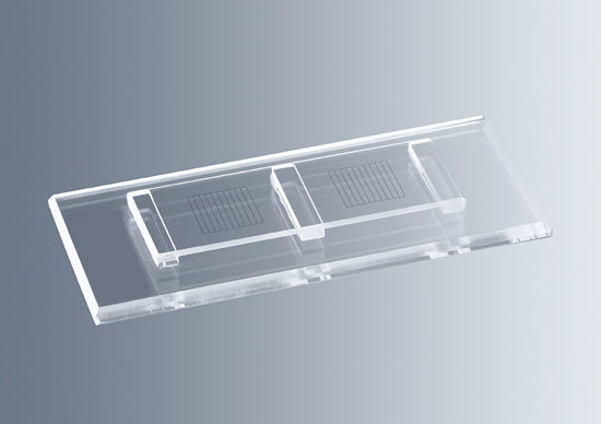 Marienfeld (Germany) Counting Chamber MacMaster, With 2 grides