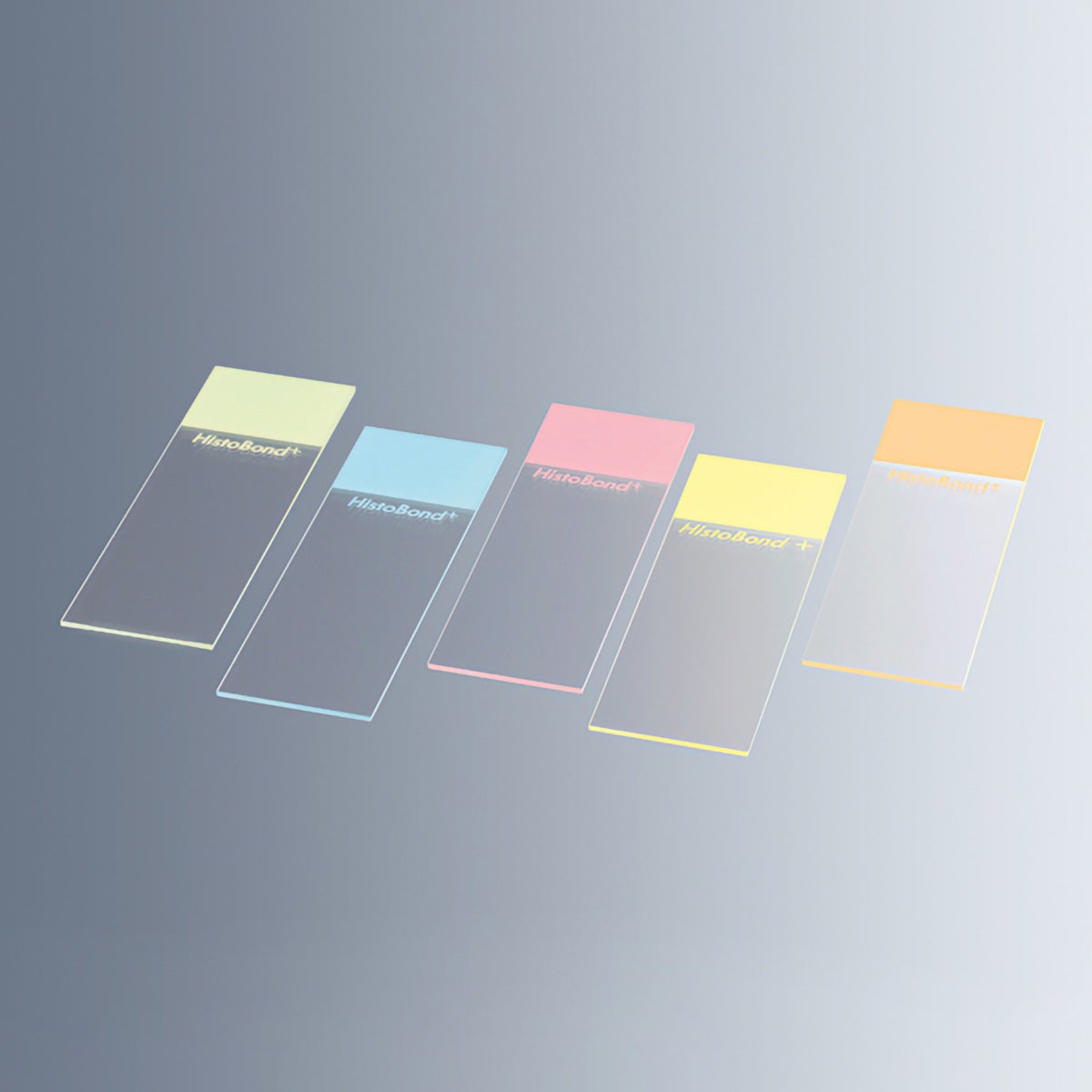 Marienfeld Microscope Slide, Adhesive, Positive charge, HistoBond®+, Blue Color,76x26mm, Pack of 100Pcs, DIN ISO 8037-1