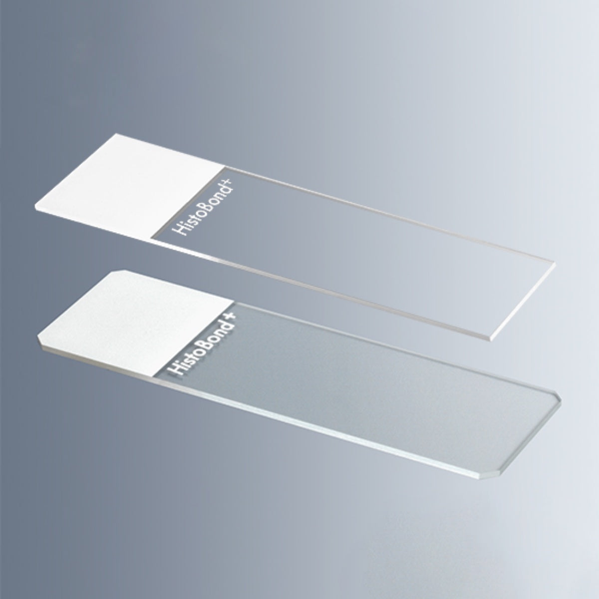 Marienfeld Microscope Slide, Adhesive, Positive charge, HistoBond®+, White Color,76x26mm, Pack of 100Pcs, DIN ISO 8037-1