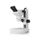 Stereo Microscopes