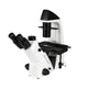 Inverted Microscope
