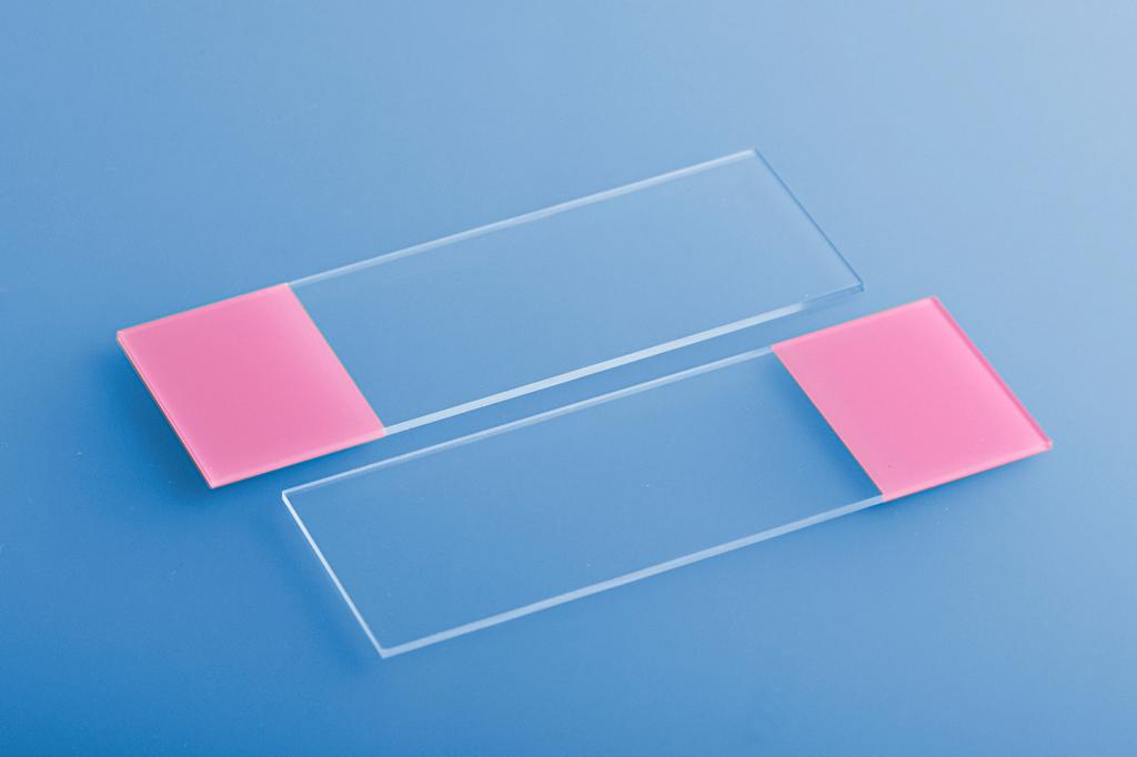 LaboQuip Microscope Slides, Colour Frosted Slide 1 side frosted 7109A-P,Pink Colour, Glass (Pack of 50Pcs)