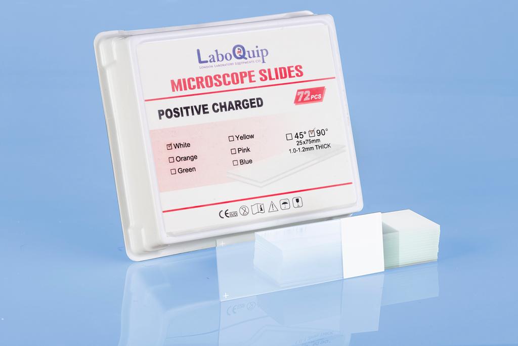 LaboQuip Microscope Slides Glass, Positive Charged (72Pcs)